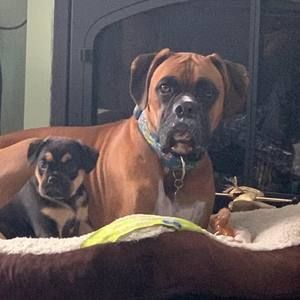 Meet your Posher, Janet